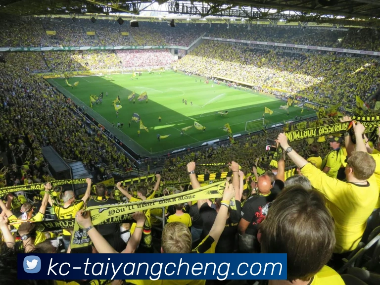 多媒体互动体验